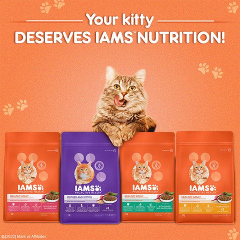 Dry Cat Iams Healthy Senior Cat Food IAMS Proactive Health Adult