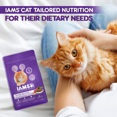 Kitten Iams Cat Food Purple Bag Iams ProActive Health Healthy