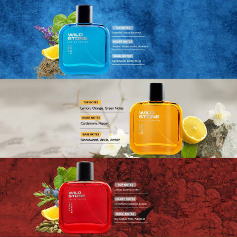 Wild Stone Hydra Energy, Night Rider Ultra Sensual Perfume for Men, Pack  of 3(30ml each Eau de Parfum 90 ml