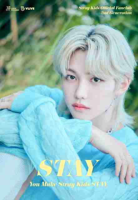 medium-stray-kids-k-pop-south-
