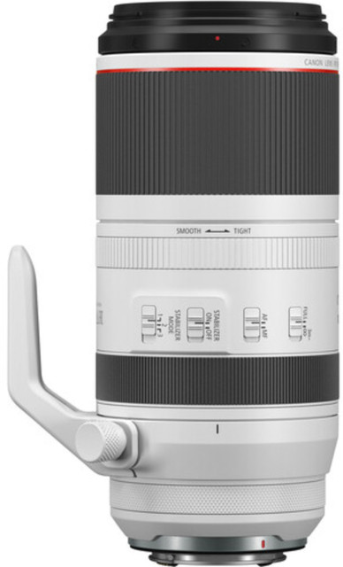 Canon RF 100 500 mm L IS USM Telephoto Zoom Lens