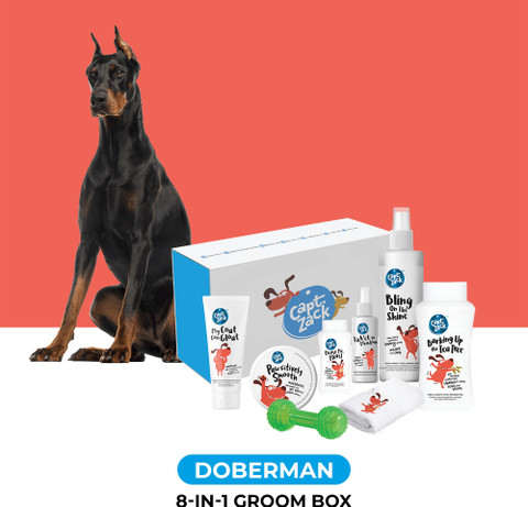 Khám Phá Vnq 8 - Cách Mạng Trong Công Nghệ