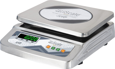 iScale 30kg x 1g Stainless Steel Weighing Scale with Front and Back Double  Display Weighing Scale - Main Image