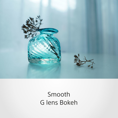 SONY SEL15F14G Wide-angle Prime Lens - SONY : Flipkart.com