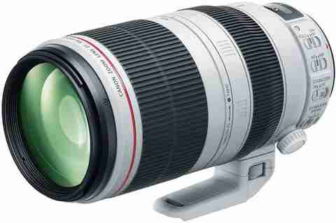 Canon EF 100-400mm L IS II USM f/4.5 - 5.6 Telephoto Zoom