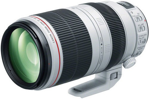 15256 良品 キヤノン Canon EF 100-400mm L IS II Canon EF 100-400mm L IS II USM f/4.5 - 5.6 Telephoto Zoom Lens