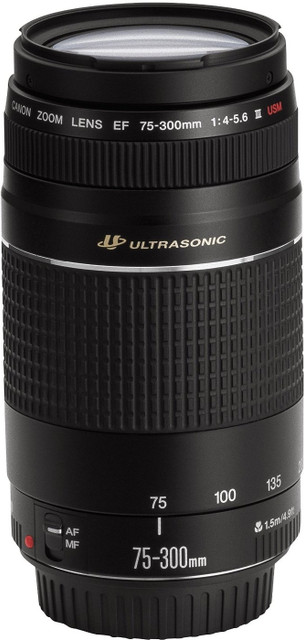 キャノン EF 75-300mm f4-5.6 III：2592818 Shop Canon EF 75-300mm f/4-5.6 III | Canon U.S.A., Inc.