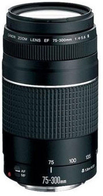 Canon EF 75 - 300 mm f/4-5.6 III Telephoto Zoom Lens - Canon