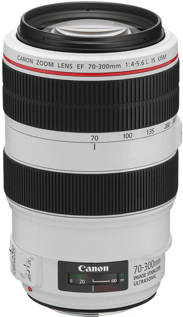 Canon EF 70 - 300 mm f/4-5.6L IS USM Telephoto Zoom Lens - Canon