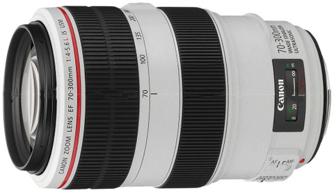 望遠 EF70-300mm F4-5.6 L IS USM Canon EF 70-300mm f/4-5.6L is USM Zoom Lens for Canon Digital SLR