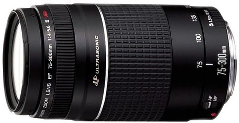 Canon EF 75 - 300 mm f/4-5.6 III USM Telephoto Zoom Lens - Canon