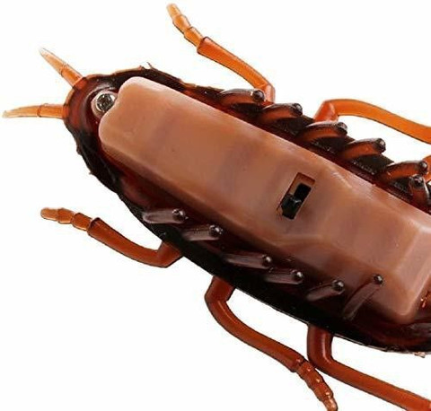 vibrating insect toy Muren Vibrating Cockroach Bug Prank Toy for Fun Electronic Simulation Insect  Crawl - Vibrating Cockroach Bug Prank Toy for Fun Electronic Simulation  Insect Crawl . shop for Muren products in India