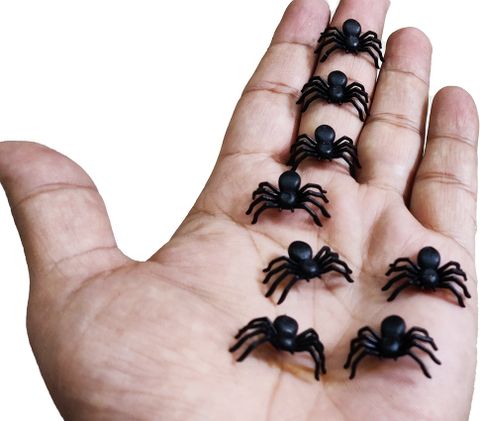 Dhinchak 60 piece Mini Small Spider Toys Figure Playing Set and for halloween - 60 piece Mini Small Spider Toys Figure Playing Set and for halloween . Buy Spider toys in India. Dhinchak 60 piece Mini Small Spider Toys Figure Playing Set and for halloween - 60 piece Mini Small Spider Toys Figure Playing Set and for halloween . Buy Spider toys in India.