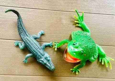Tik C Cute frog and crocodile toys Cute frog and crocodile toys
