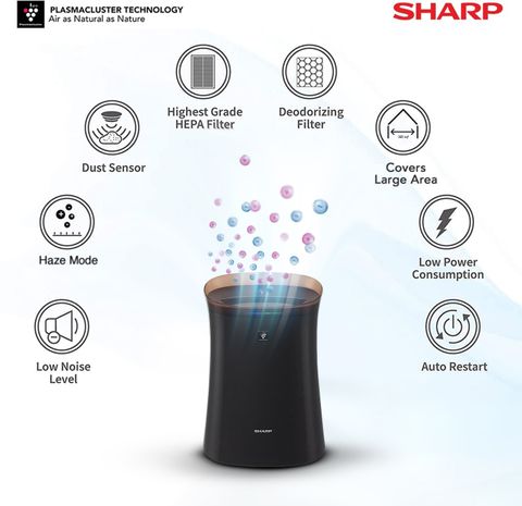 Sharp FP-F40E-T Portable Room Air Purifier Price in India - Buy Sharp ...