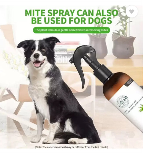 Allergies Dust Mite Treatment For Dogs Htech Mite Spray– Powerful