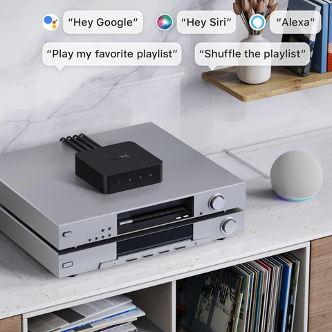 Wiim Pro Plus AirPlay 2 Receiver Google Cast Audio, WiFi Multiroom