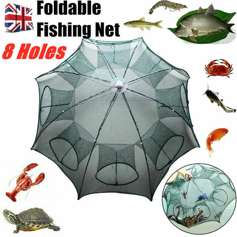 Nerro 8 hole umbrella fishing net Aquarium Fish Net Price in India - Buy  Nerro 8 hole umbrella fishing net Aquarium Fish Net online at Flipkart.com