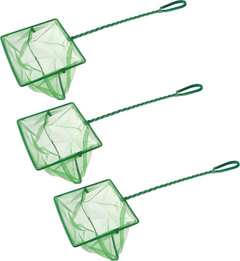HOIVA (PACK OF 3) 6 inch Fish Net for Aquarium Big Small Fishes Aquarium Fish Net Price in India - Buy HOIVA (PACK OF 3) 6 inch Fish Net for Aquarium Big HOIVA (PACK OF 3) 6 inch Fish Net for Aquarium Big Small Fishes Aquarium Fish Net Price in India - Buy HOIVA (PACK OF 3) 6 inch Fish Net for Aquarium Big