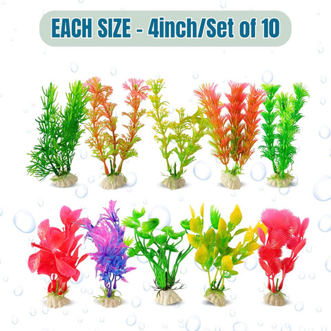 water plant terrarium 10" Tall Half Dome Glass Terrarium with Water-Holding Base and Door PD   NCYPgarden