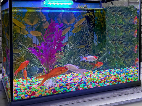 Sky Aquarium Decoration Combo kit For MultiColor Stones Plant tube Air  Stone Pump River Rock Planted Substrate