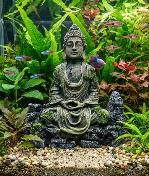 buddha fish tank accessories PINVNBY Aquarium Head Statue Decorations,Fish Resin Large Buddha Sculpture Ornament,Betta Hideout Cave Sleep Rest Play for Small Shrimp Lizard Gecko Small Reptile(3 Pack) : Pet Supplies Fish Color Betta Fish Buddha Aquarium Decoration