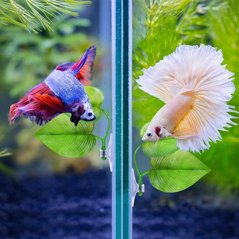 LELE LIFE Aquariumpflanzen 18cm Knstlich  Realistische Seidenpflanze Fr  Betta Fisch, Goldfisch Und Reptilien Goldfisch Pflanzen