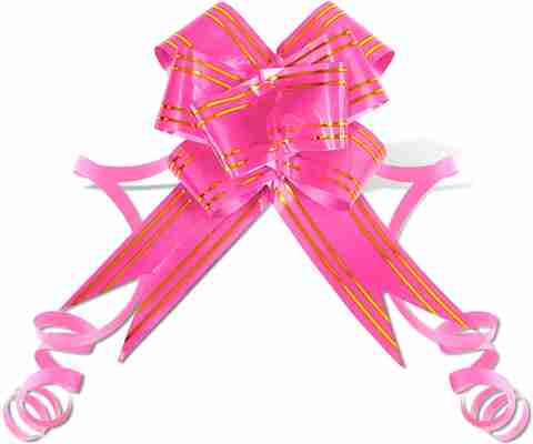 エピヌ ribbon Nulle rose sans épine sweat NEW ARRIVAL Nulle rose