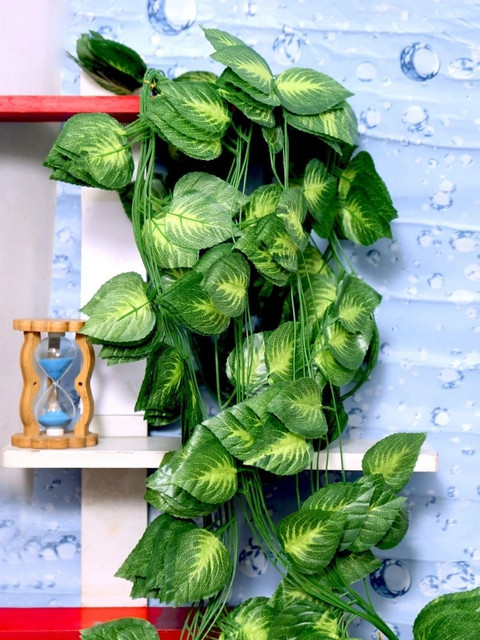 Ragner 8ft Set of 3 Artificial Money Plant vine  |Home|Office|Garden|Decoration Artificial Plant Price in India - Buy Ragner  8ft Set of 3 Artificial Money Plant vine |Home|Office|Garden|Decoration Artificial  Plant online at Flipkart.com