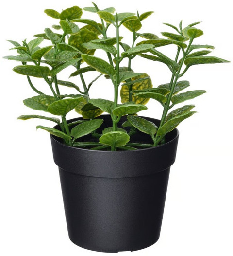 IKEA IKEA FEJKA Artificial potted plant, in/outdoor Mint, 9 cm (3  ")  Artificial Plant with Pot Price in India - Buy IKEA IKEA FEJKA Artificial  potted plant, in/outdoor Mint, 9 cm (