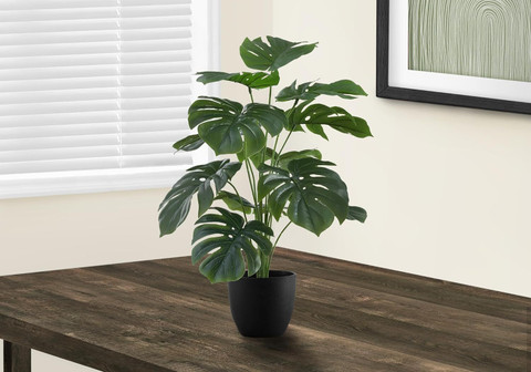 4 foot snake plant Snake Plant Laurentii | Low Light Indoor Plant