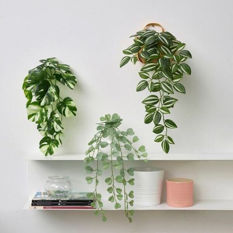 glass pot planter Modern Rectangular Clear Glass Trough Vase, 7.5-Inch Succulent Planter Pot main image 1