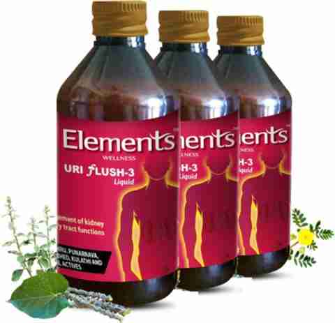Elements Wellness Uri Flush 3 Liquid - 600ml(pack of 3) Price in