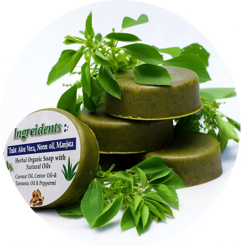 Nightforce Herba Medicare D-TOX ALOEVERA & NEEM FACE SOAP Price in