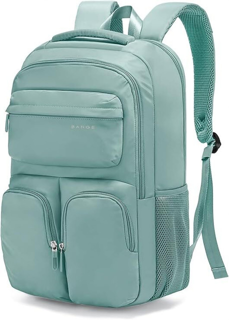 Red Lemon 15.6 inch Laptop Backpack Anti Theft Pocket &Accessories  Organiser for Men Women 25 L Laptop Backpack Blue - Price in India |  Flipkart.com