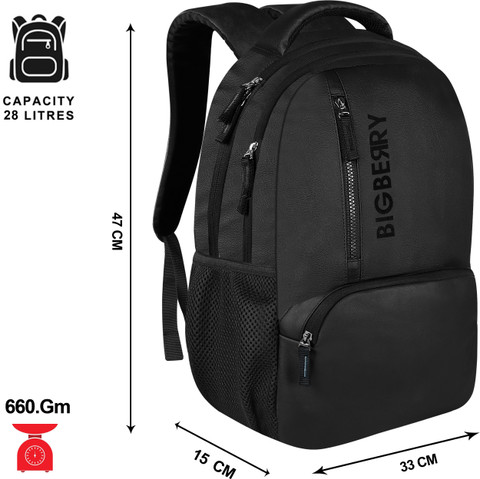 BIGBERRY NEWAGE 28 Ltrs genuine PU Backpack with Multiple