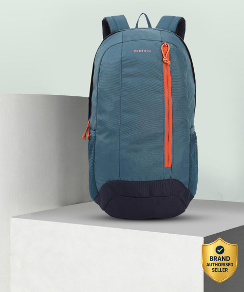 currty jansport backpack JANSPORT CURRY MAIN CAMPUS FX SCHOOL X-LARGE BACKPACK/LAPTOP for sale  online