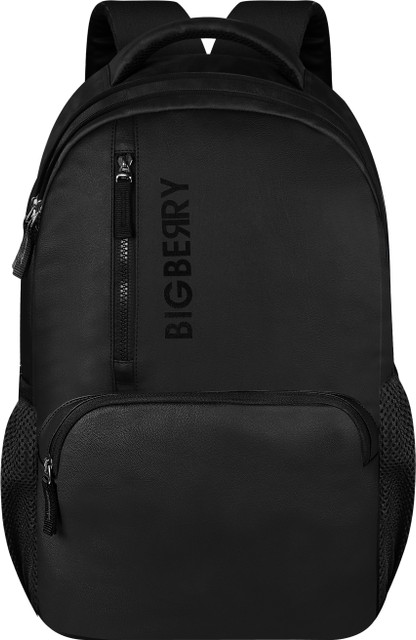 BIGBERRY NEWAGE 28 Ltrs genuine PU Backpack with Multiple