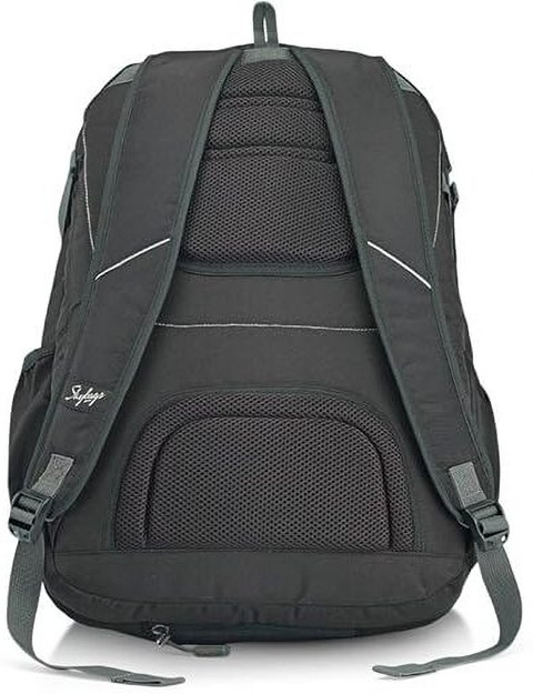 Skybags Teckie 01 Laptop Backpack Grey SKYBAGS Teckie 01 With Rain