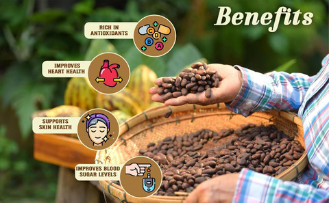 999 CHOCOLAT Organic Raw Cocoa Beans – Sun Dried & Fermented