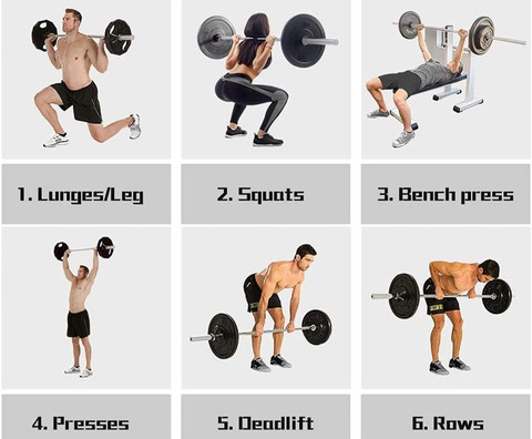 Olympic Weightlifting Bar Rogue Bar Weight Olympic Weightlifting