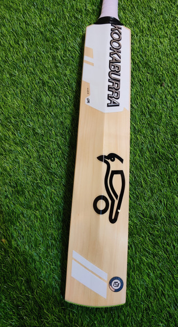 Buy Products Online at Best Price in India - All Categories