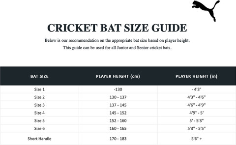 PUMA Future PB SNR PVC/Plastic Cricket Bat For 15+ Yrs Buy