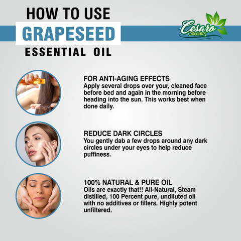 GrapeSEED unit9〜unit20 GrapeSEED unit9〜unit20 Page 1 - GrapeSEED U9 Student Book