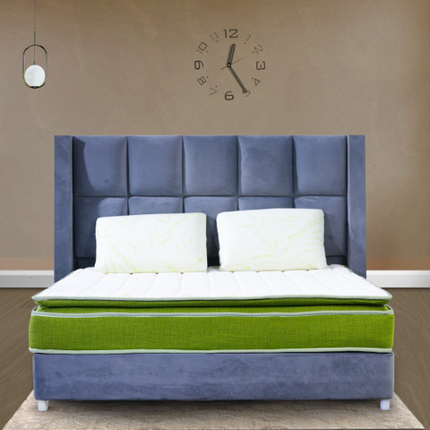 Repose EXTRORDINO SPECIAL EDITION 6 inch Single Pocket Spring