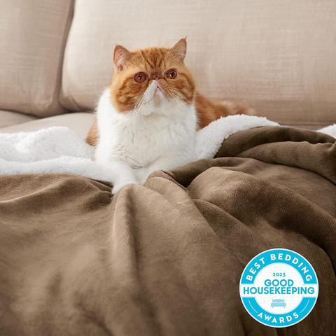 BSB HOME Solid Double Sherpa Blanket for Heavy Winter Buy BSB