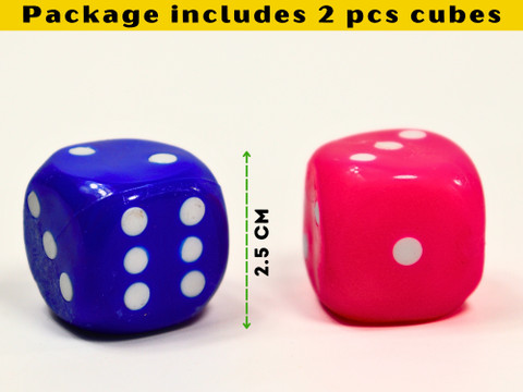 ⭐︎美品⭐︎24-25 dice bank Flipkart