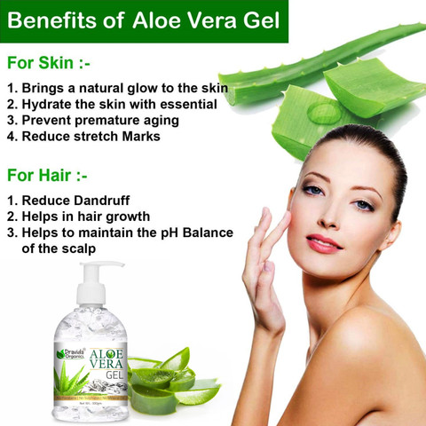 aloe vera in store Aloe Vera Leaves main image 1