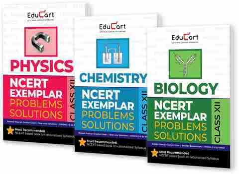 Educart Ncert Exemplar Bundle of Class 12 Physics, Chemistry and Biolo ...