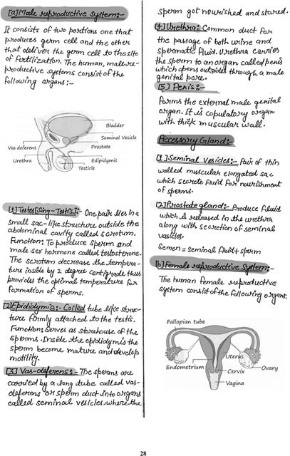 PW CBSE Class 10th Chapter-wise Topper’s Handwritten Short Notes for ...
